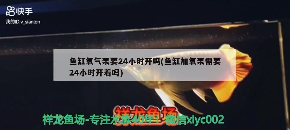 鱼缸氧气泵要24小时开吗(鱼缸加氧泵需要24小时开着吗)