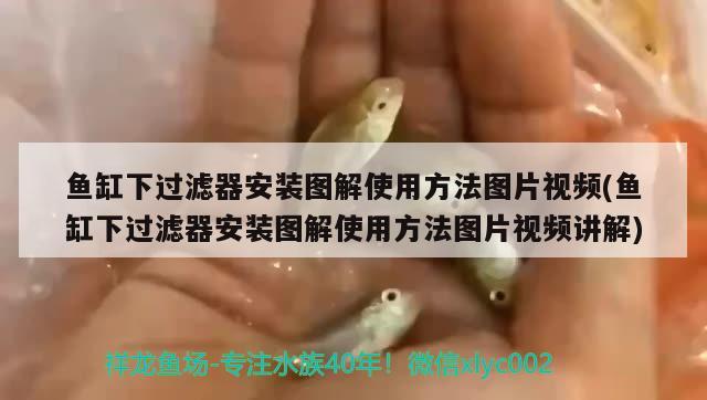 伊罕滤桶水流越来越小：伊罕过滤桶出水口位置 伊罕水族 第1张