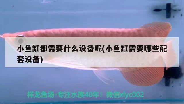 江西金龙鱼有限公司官网招聘（江西金龙鱼有限公司官网招聘信息） 青龙鱼 第4张