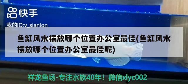 鱼缸风水摆放哪个位置办公室最佳(鱼缸风水摆放哪个位置办公室最佳呢) 鱼缸风水