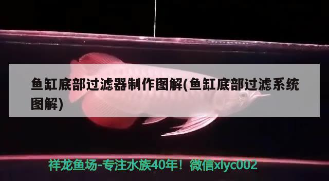 农村家里养鱼鱼缸怎么摆放最好(农村鱼缸摆放位置)