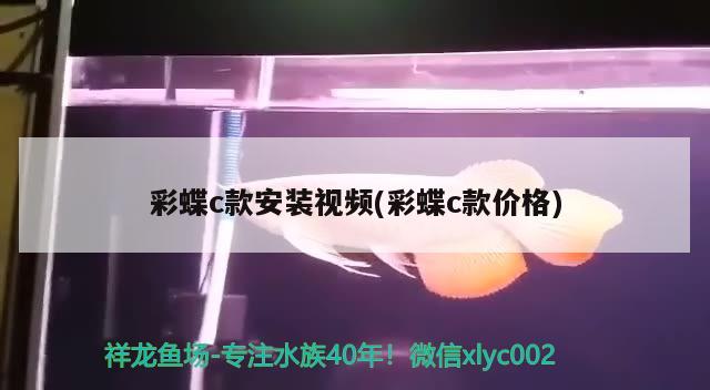彩蝶c款安装视频(彩蝶c款价格) 广州水族批发市场