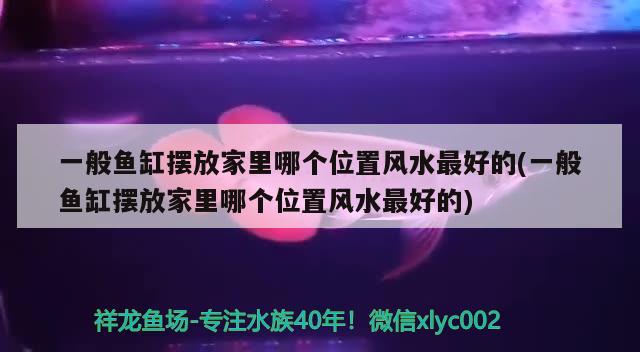 一般鱼缸摆放家里哪个位置风水最好的(一般鱼缸摆放家里哪个位置风水最好的) 鱼缸风水