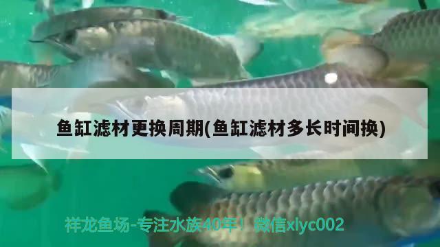 鱼缸滤材更换周期(鱼缸滤材多长时间换)