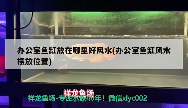 办公室鱼缸放在哪里好风水(办公室鱼缸风水摆放位置) 鱼缸风水