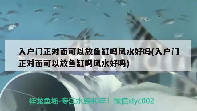 入户门正对面可以放鱼缸吗风水好吗(入户门正对面可以放鱼缸吗风水好吗)