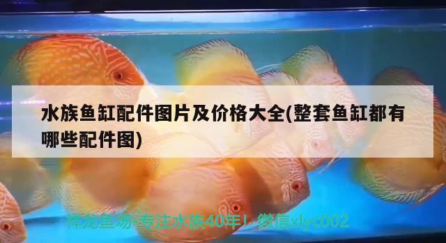 水族鱼缸配件图片及价格大全(整套鱼缸都有哪些配件图)