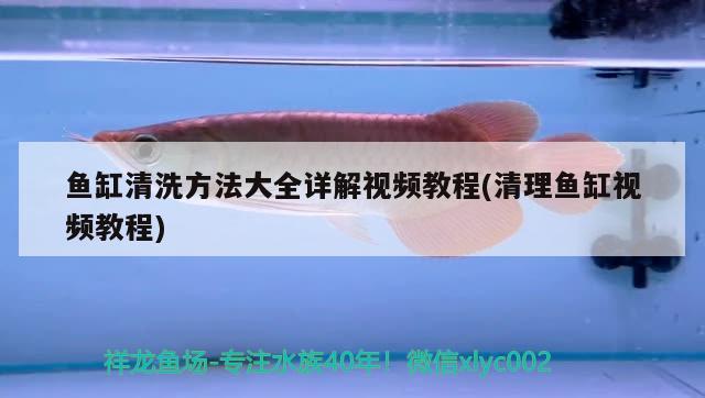 鱼缸过滤器吸沙(鱼缸过滤吸沙子) 鱼缸/水族箱