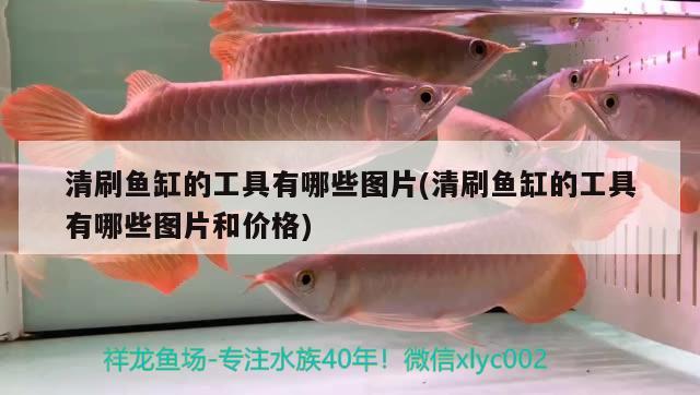 鱼缸安装完整视频教程全集图片（天诚水族鱼缸r320怎么安装） 白子黄化银龙鱼 第1张