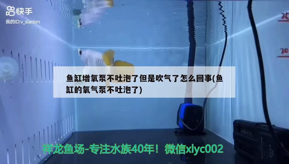 荆门水族批发市场在哪里啊最近（荆门水产批发市场在哪里呀） 养鱼知识 第2张