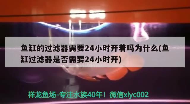 鱼缸的过滤器需要24小时开着吗为什么(鱼缸过滤器是否需要24小时开) 大日玉鲭鱼 第2张