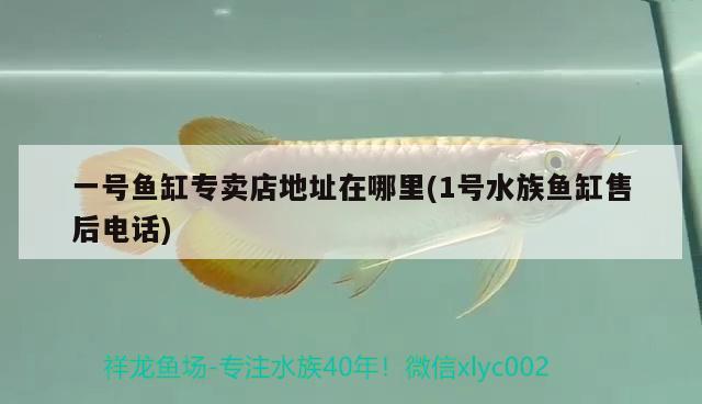 一号鱼缸专卖店地址在哪里(1号水族鱼缸售后电话) 双线侧鱼