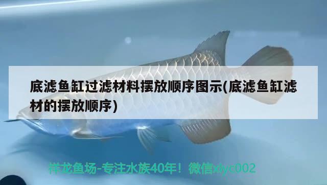 底滤鱼缸过滤材料摆放顺序图示(底滤鱼缸滤材的摆放顺序) 广州龙鱼批发市场