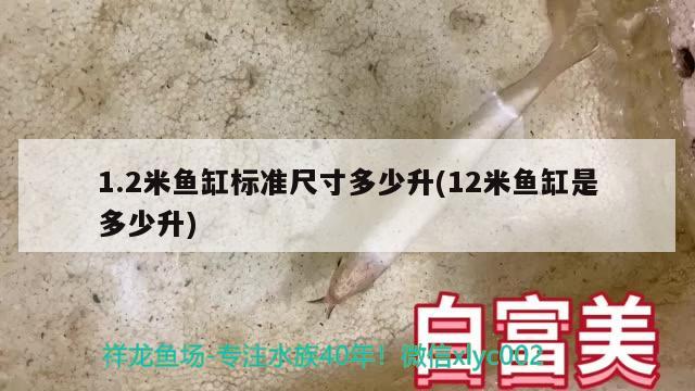 1.2米鱼缸标准尺寸多少升(12米鱼缸是多少升) 银龙鱼苗