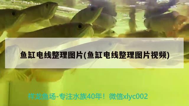 鱼缸电线整理图片(鱼缸电线整理图片视频) 水族用品