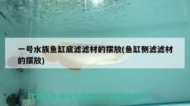 一号水族鱼缸底滤滤材的摆放(鱼缸侧滤滤材的摆放) 哥伦比亚巨暴鱼苗