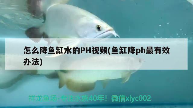 怎么降鱼缸水的PH视频(鱼缸降ph最有效办法) 水族世界