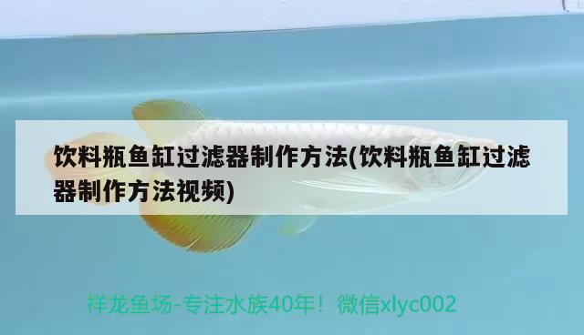 饮料瓶鱼缸过滤器制作方法(饮料瓶鱼缸过滤器制作方法视频) iwish爱唯希品牌鱼缸