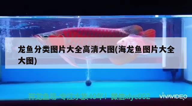 为什么鱼缸水泵用着用着水小了(鱼缸水泵用了一段时间后上水小了)