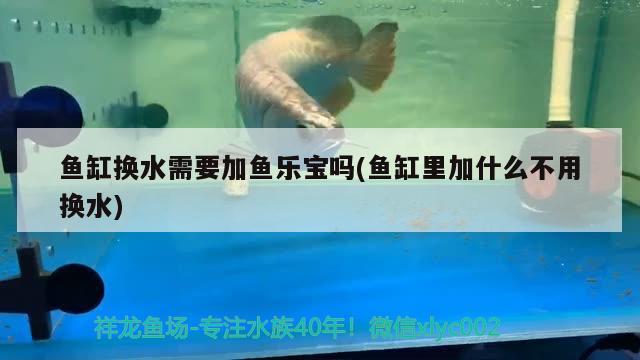 鱼缸换水需要加鱼乐宝吗(鱼缸里加什么不用换水) 二氧化碳设备 第2张