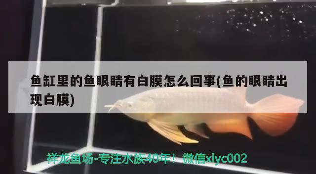 北京儒苑飞海工艺品店 全国水族馆企业名录 第1张