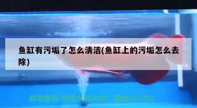 广州市从化城郊水之美水族馆，广州市从化城郊水之美水族馆电话