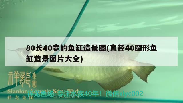 徐州哪里有卖鱼缸和鱼的市场啊电话和徐州哪里有卖鱼缸和鱼的市场，徐州哪里有卖鱼缸和鱼的市场