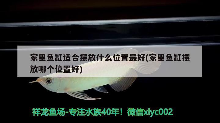 合肥雨花石在哪里可以买到，中国古代的时候，人民发明了哪些奇技淫巧的东西