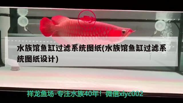 水族馆鱼缸过滤系统图纸(水族馆鱼缸过滤系统图纸设计)