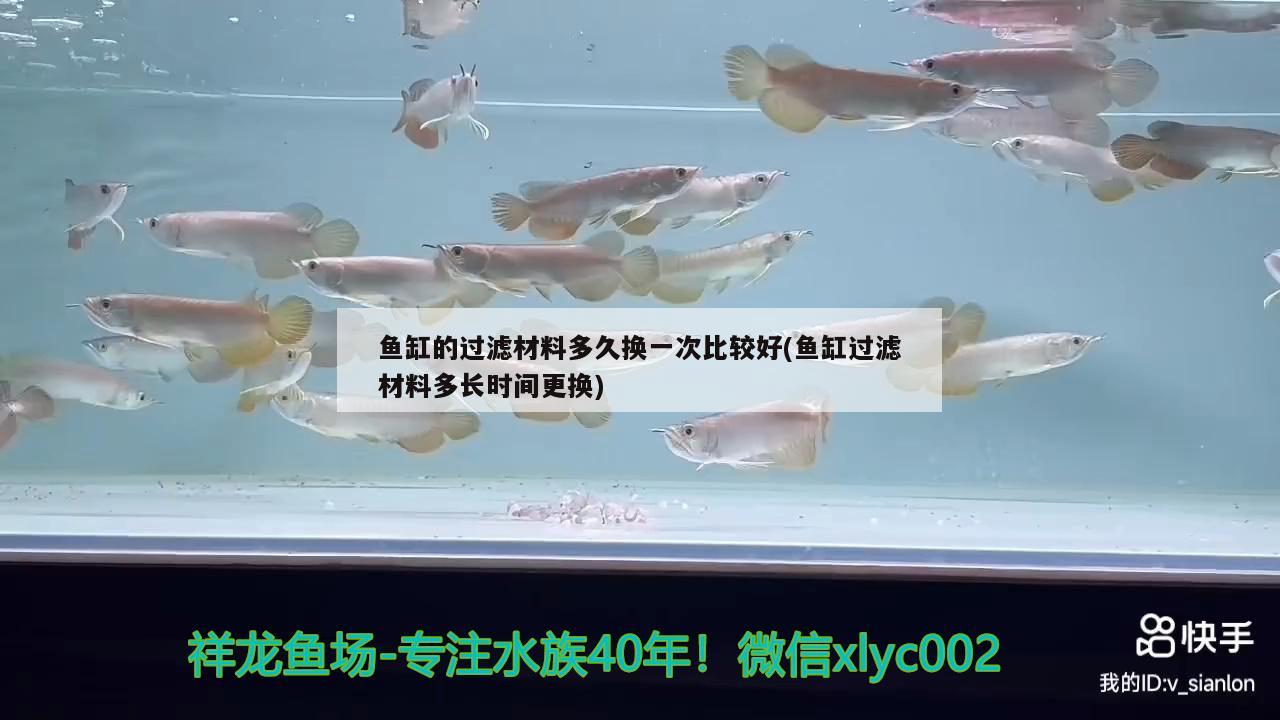 鱼缸的过滤材料多久换一次比较好(鱼缸过滤材料多长时间更换)