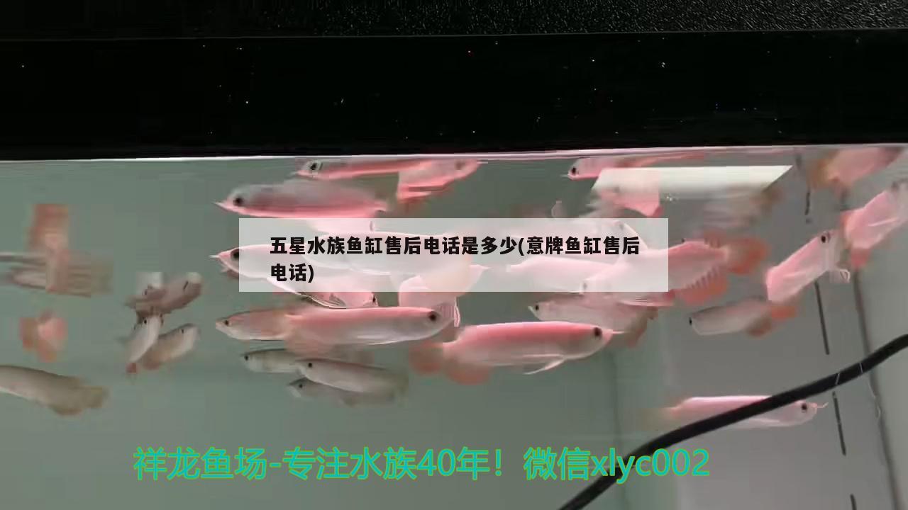 五星水族鱼缸售后电话是多少(意牌鱼缸售后电话)