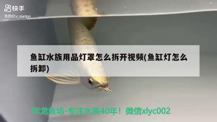 鱼缸水族用品灯罩怎么拆开视频(鱼缸灯怎么拆卸) 水族用品