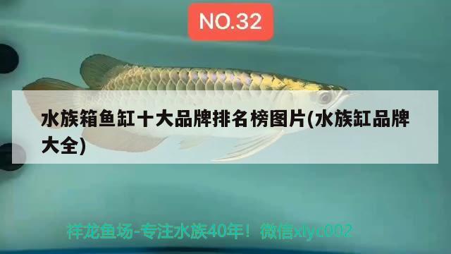 水族箱鱼缸十大品牌排名榜图片(水族缸品牌大全)