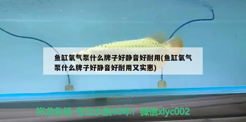 伊罕精巧桶60和伊罕150对比（伊罕精巧桶60能用在多大缸上） 伊罕水族 第2张