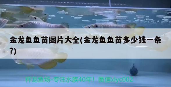 伊罕精巧桶60和伊罕150对比（伊罕精巧桶60能用在多大缸上） 伊罕水族 第1张