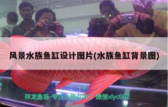 风景水族鱼缸设计图片(水族鱼缸背景图)