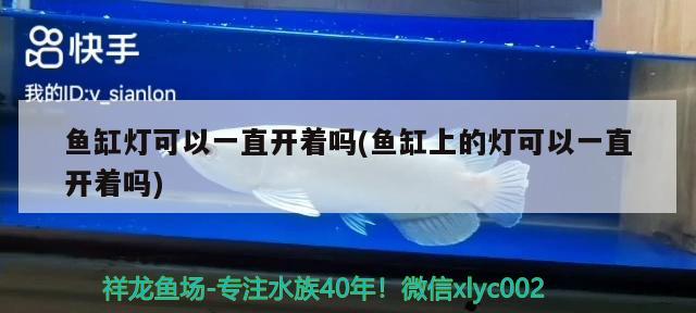 鱼缸灯可以一直开着吗(鱼缸上的灯可以一直开着吗) 鱼缸水质稳定剂