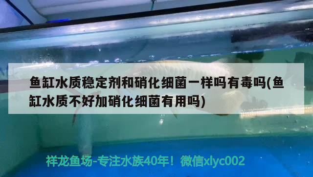 鱼缸抽水泵有噪音怎样解决方法视频(鱼缸抽水泵噪音大如何解决) 羽毛刀鱼苗