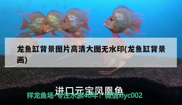 鱼缸抽水的原理：鱼缸抽水的原理图解 广州水族批发市场 第2张