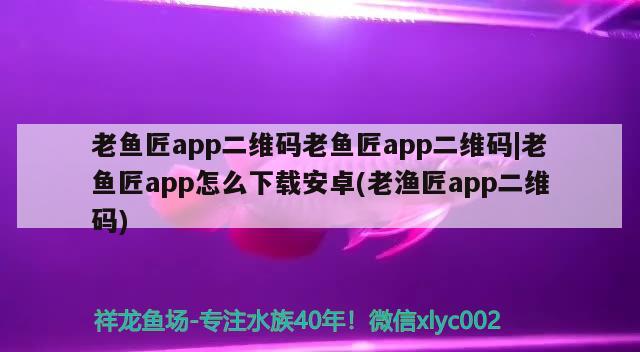 老鱼匠app二维码老鱼匠app二维码|老鱼匠app怎么下载安卓(老渔匠app二维码)