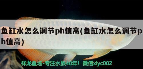 鱼缸水怎么调节ph值高(鱼缸水怎么调节ph值高)