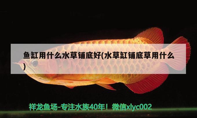 蒙自尚善若水水族店 全国水族馆企业名录 第2张