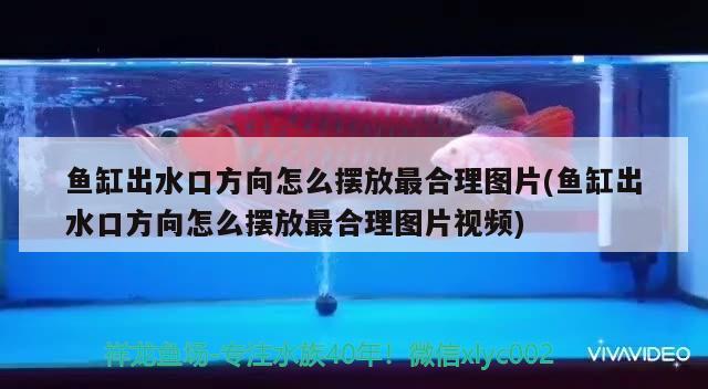 鱼缸出水口方向怎么摆放最合理图片(鱼缸出水口方向怎么摆放最合理图片视频)