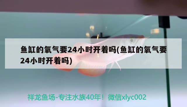 鱼缸的氧气要24小时开着吗(鱼缸的氧气要24小时开着吗) 祥龙龙鱼专用水族灯