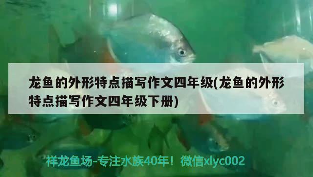 广州伙阳商贸店 全国水族馆企业名录 第1张