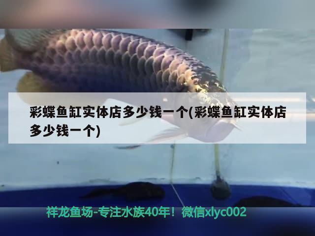 体表是银色的观赏鱼：浑身银色发亮的鱼 广州水族批发市场 第2张