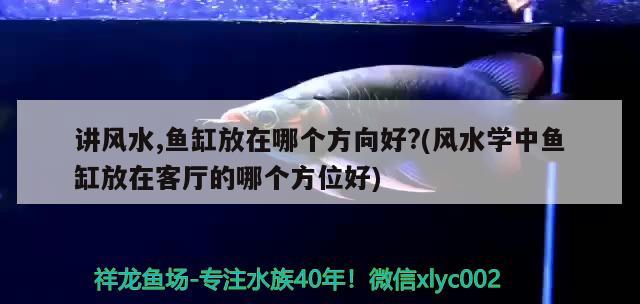 台州鱼缸海鲜池定做厂家电话（台州鱼缸海鲜池定做厂家电话号码） 量子养鱼技术 第3张