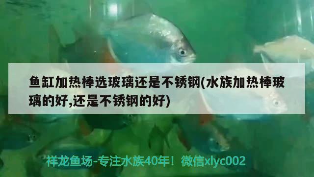 鱼缸净水剂多久水变清(鱼缸用了净水剂多长时间可以换水) 细线银版鱼