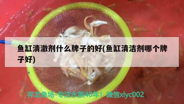 鱼缸清澈剂什么牌子的好(鱼缸清洁剂哪个牌子好)