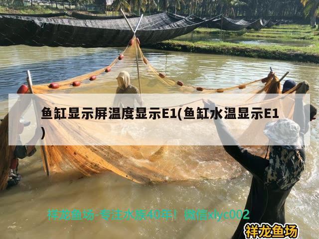 鱼缸显示屏温度显示E1(鱼缸水温显示E1) 祥龙水族护理水